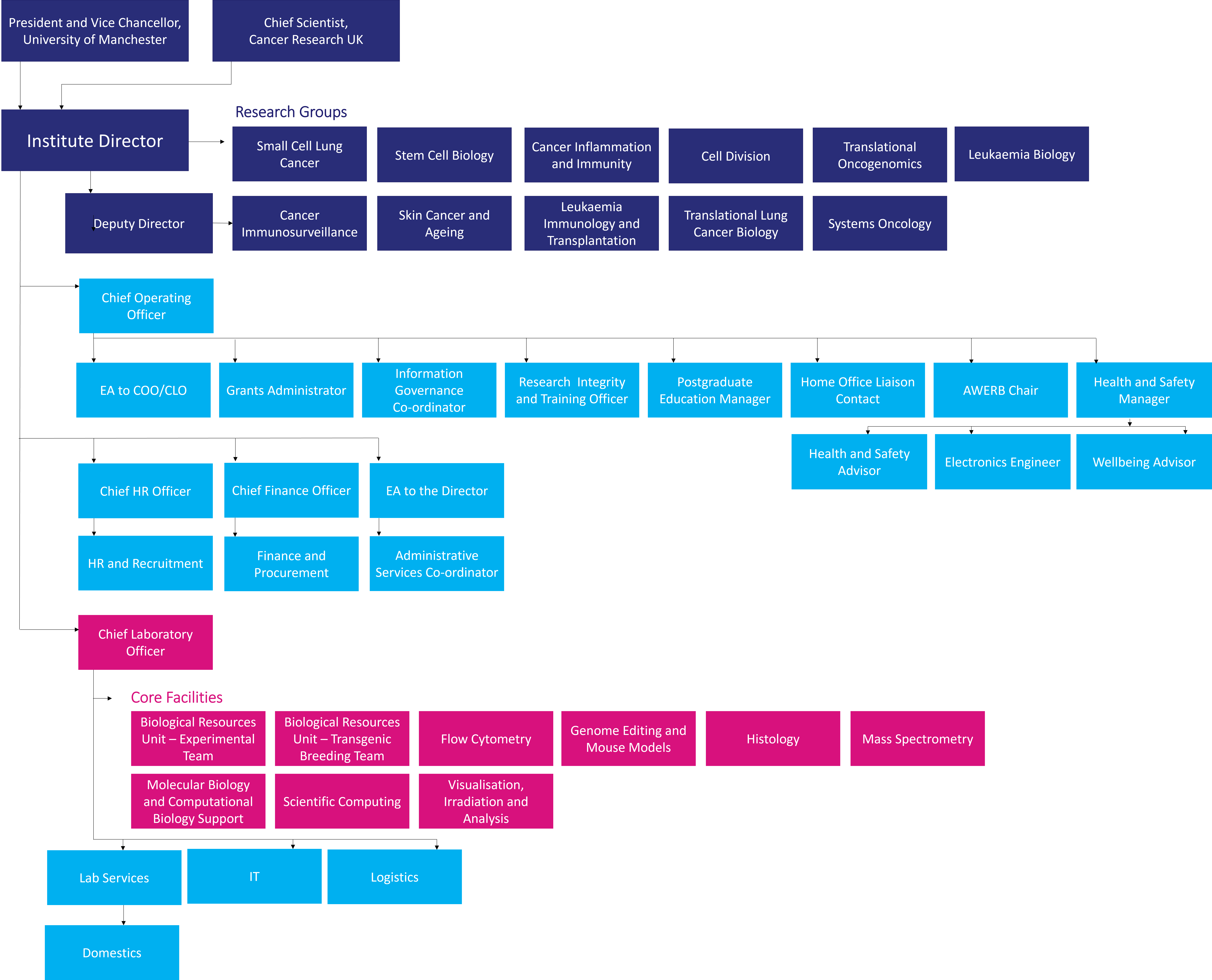 image of organisational structure of the institute